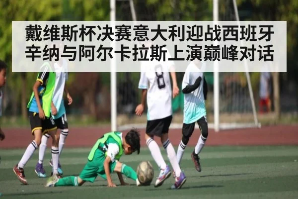 戴维斯杯决赛意大利迎战西班牙 辛纳与阿尔卡拉斯上演巅峰对话